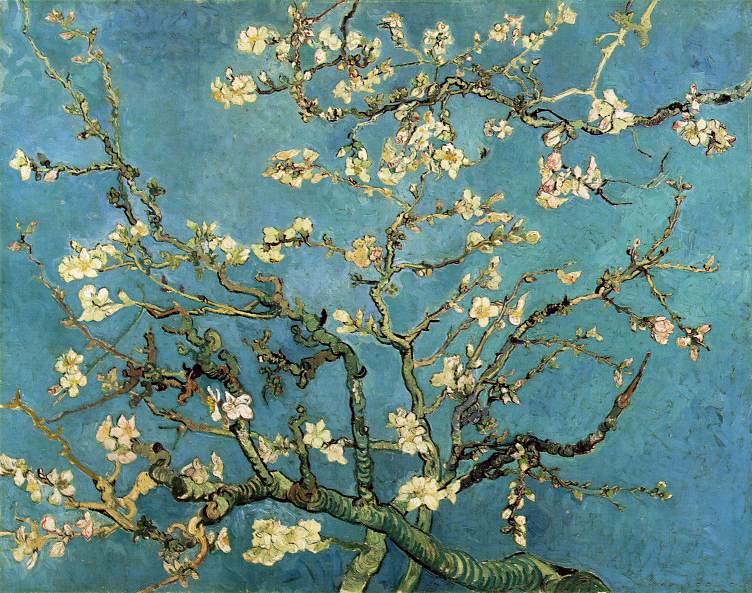 Branches fleuries d'amandier  - Van Gogh