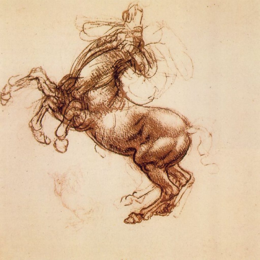 Cheval cabré - De Vinci