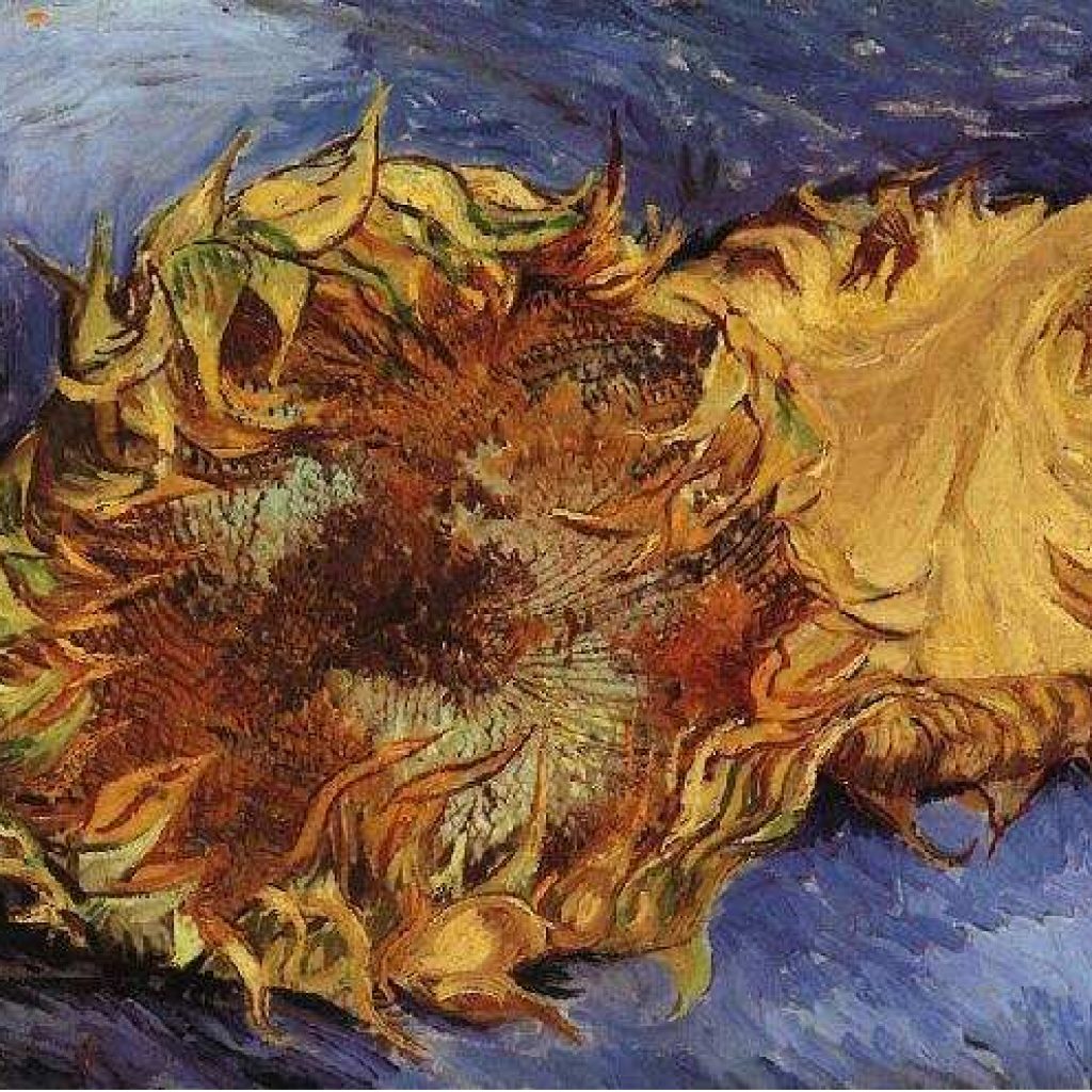 Deux tournesols coupés - Van Gogh