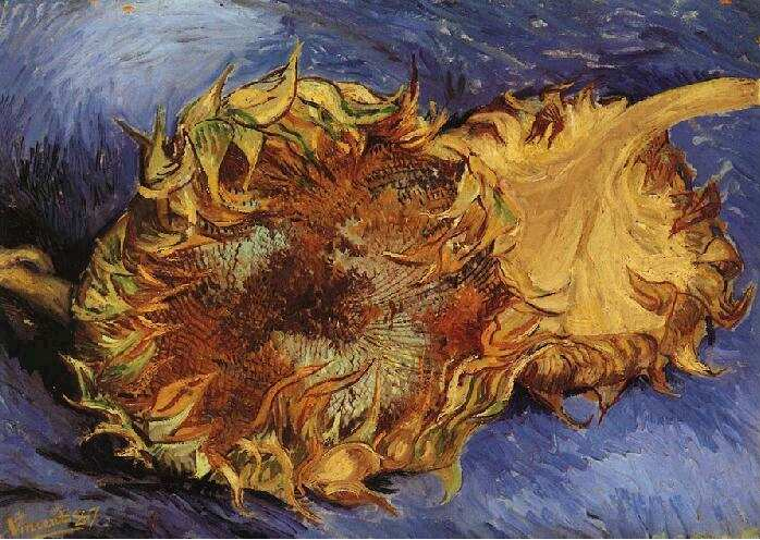 Deux tournesols coupés - Van Gogh