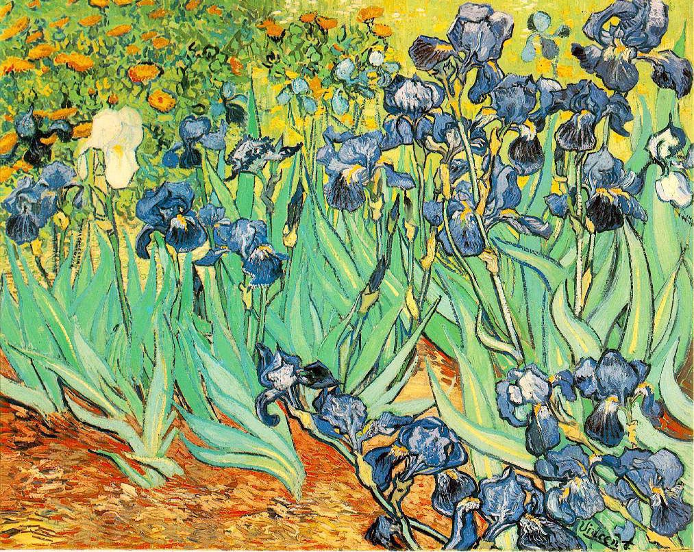Iris - Van Gogh