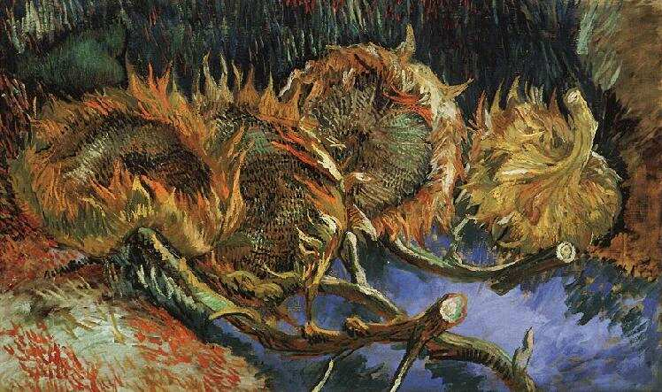 Quatre tournesols coupés - Van Gogh
